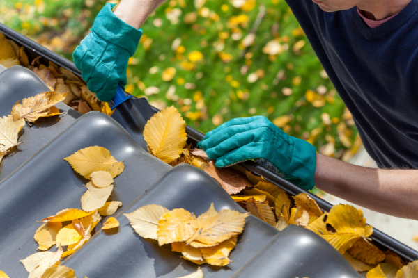 Prepping Your Shed for Bushfire Season